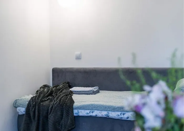 Cozy On Veerenni St, Garden Views. Apartment