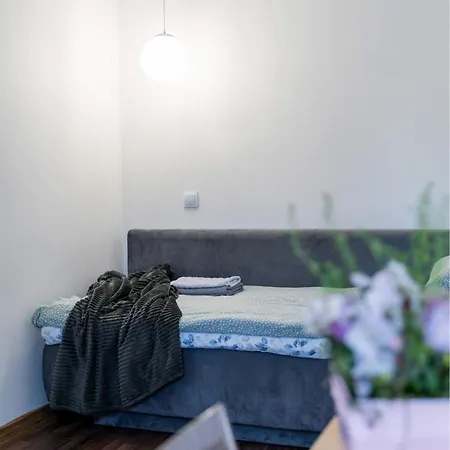 Cozy On Veerenni St, Garden Views. Apartmán